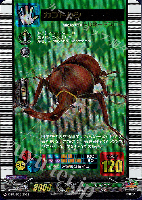 PR カブトムシ(箔押し) | 販売 | DPR/501〜DPR/600 | ヴァンガード