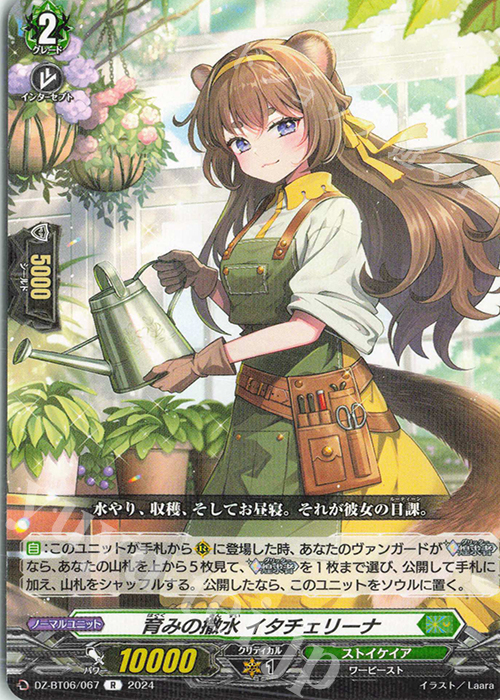 R 育みの撒水 イタチェリーナ  | 販売 | [DZBT06] 時空創竜 | ヴァンガード