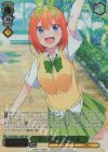  5HY/WE43-14IGP IGP 続く物語 中野 四葉(箔押し入り) 