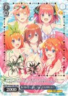  5HY/WE43-P01S PR 夏の煌めき 一花＆二乃＆三玖＆四葉＆五月(箔押し入り) 