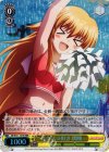 AB/W31-107R RRR イタズラ好き 関根