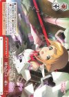 AGS/W108-062 CR 憧れの人と一緒に 