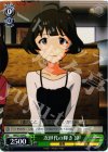  IM/S21-034 C 次世代の輝き 涼 