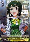 IM/S21-003SP SP どこでもサポート! 小鳥さん(サイン入り)
