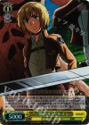 AOT/S50-004S SR “一筋の光”アルミン