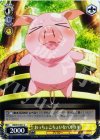  AW/S18-021 C おっちょこちょいなハルユキ 