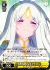  AW/S43-017 C 辛辣な忠告 メタトロン 