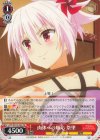  AYT/W110-T04 TD 肉体への順応 祭里 