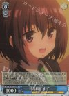  AYT/W110-T12R RRR 花鳥風月 すず 