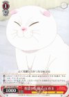  AYT/W110-054 C 得意げな顔 シロガネ 