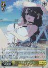 BAV/W112-019S SR 若葉ヒナタ(水着)