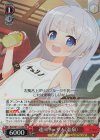  BAV/W112-100S SR 連河チェリノ(温泉) 