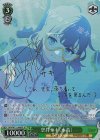  BAV/W112-046SP SP 空井サキ(水着)(サイン入り) 