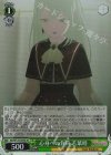  BD/W125-009S SR 心身への負荷 若葉睦 