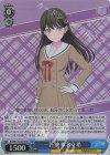 BD/W125-087S SR 一匹狼 椎名立希