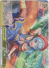 BD/W95-028R RRR 変身の術？