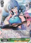  BD/WE42-029 N 一生懸命な頑張り屋 ロック 