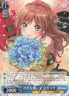  BD/WE42-084 N 理想を抱いて 今井リサ 