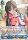  BD/WE42-087 N ウサギ好き 花園たえ 