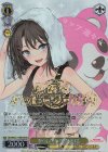  BD/WE42-019BDR BDR 努力の汗 奥沢美咲(箔押し入り) 