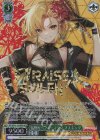  BD/WE42-050BDR BDR 情熱的パフォーマンス マスキング(箔押し入り) 