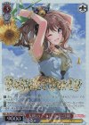  BD/WE42-062BDR BDR 太陽のように 山吹沙綾(箔押し入り) 