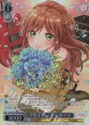  BD/WE42-084BDR BDR 理想を抱いて 今井リサ(箔押し入り) 