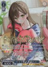  BD/WE42-087BDR BDR ウサギ好き 花園たえ(箔押し入り) 