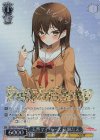  BD/WE42-092BDR BDR 天然マイペース 花園たえ(箔押し入り) 