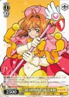  CCS/W113-018 C “見つめる先に”木之本桜 