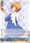  CCS/W113-077 R “大雨注意報”木之本桜 