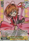  CCS/W113-008S SR “風に吹かれて”木之本桜 