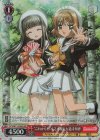  CCS/W113-065S SR “これからも”木之本桜＆大道寺知世 