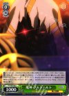  CC/S48-038 C 魔神 ブルクハルト 