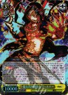 CC/S48-002S SR 魔法兵団師団長 ヴェルナー