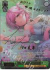 DJ/S97-032SSP SSP White Rose -純真- 桜田美夢(サイン入り)