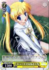  DC/W09-T04 TD キュートで元気さくら 