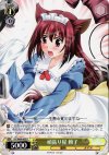  DC/W09-005 R 頑張り屋 頼子 