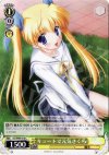  DC/W09-016 C キュートで元気 さくら 