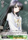  DC/W09-040 C 凛々しい環 