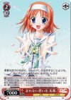  DC/W09-067 C 忘れない思い出 美春 