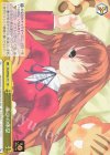  Gtd/WS02-T11 TD トラの休息 