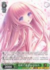  Grk/WS02-T14 TD 花咲く出会い ひなた 