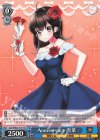  Gsb/WS02-T35 TD Anniversary  雪菜 