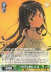  Goi/WS02-053 U 夕焼けを背に 黒猫 