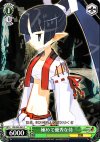  DG/S02-041 C 極めて優秀な侍 