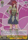  FT/S120-007S SR 戦いの外の日々 エルザ 
