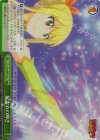 FT/S120-049R RRR 星霊衣の輝き
