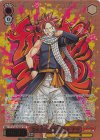  FT/S120-058SSP SSP 滾る炎の滅竜魔導士 ナツ(箔押し入り) 