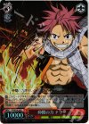 FT/SE10-28 SP 仲間の力 ナツ(サイン入り)